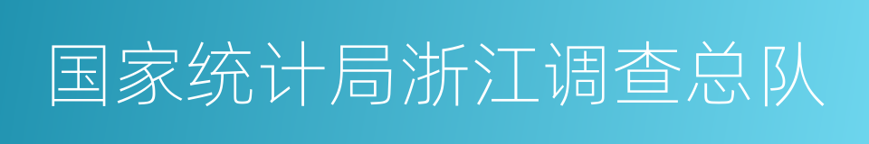 国家统计局浙江调查总队的同义词