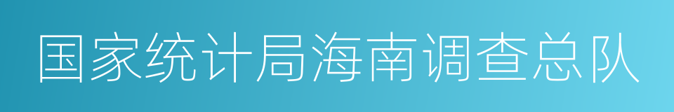 国家统计局海南调查总队的同义词