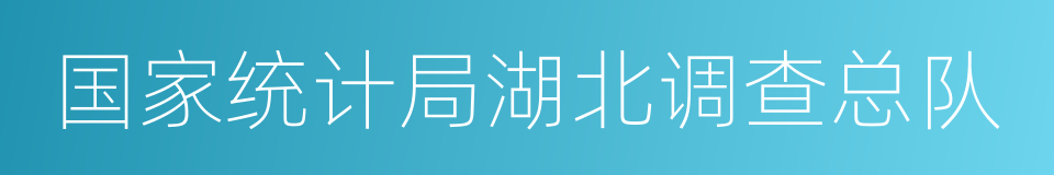 国家统计局湖北调查总队的同义词