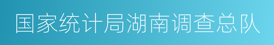 国家统计局湖南调查总队的同义词