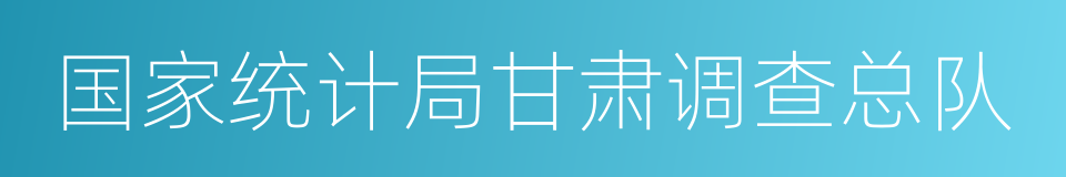 国家统计局甘肃调查总队的同义词