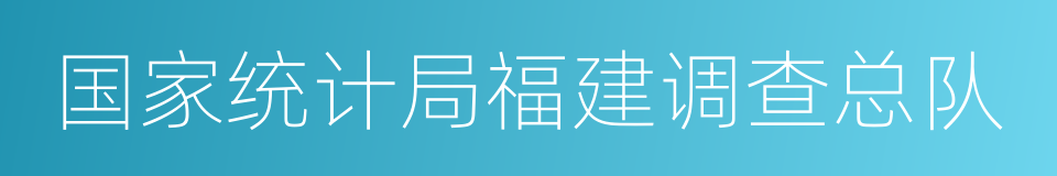 国家统计局福建调查总队的同义词