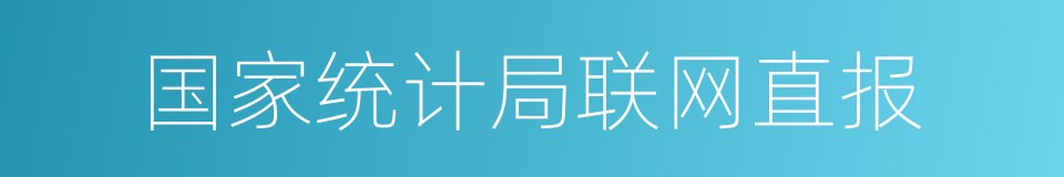 国家统计局联网直报的同义词