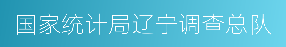 国家统计局辽宁调查总队的同义词