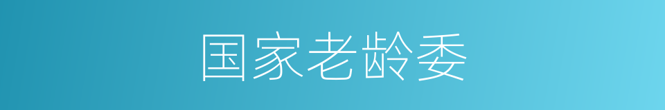 国家老龄委的同义词