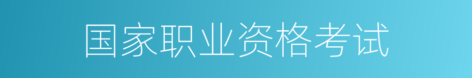 国家职业资格考试的同义词