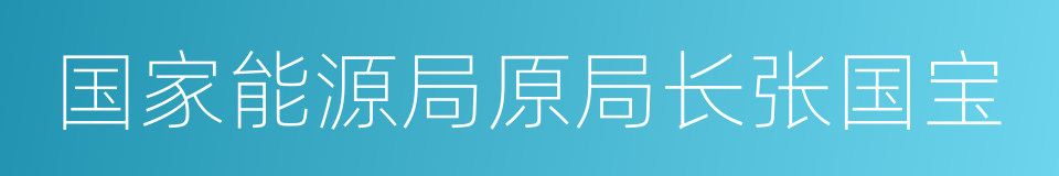 国家能源局原局长张国宝的同义词