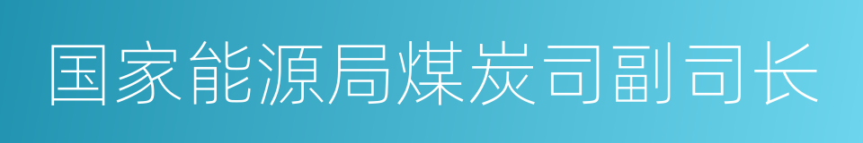 国家能源局煤炭司副司长的同义词