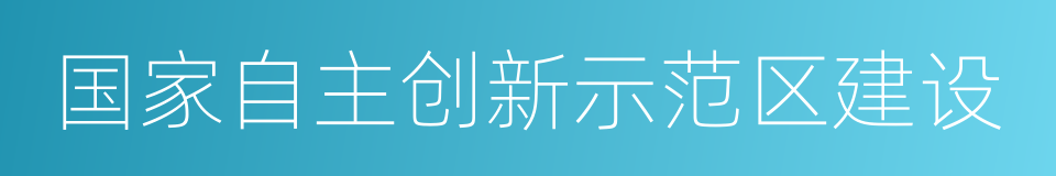 国家自主创新示范区建设的同义词