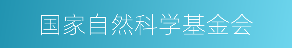 国家自然科学基金会的同义词