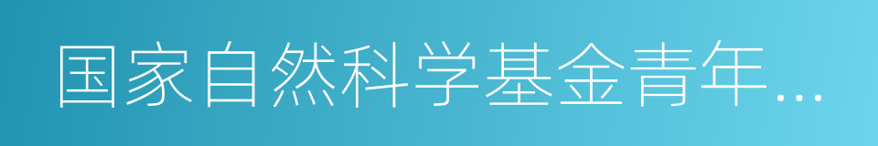 国家自然科学基金青年基金的同义词