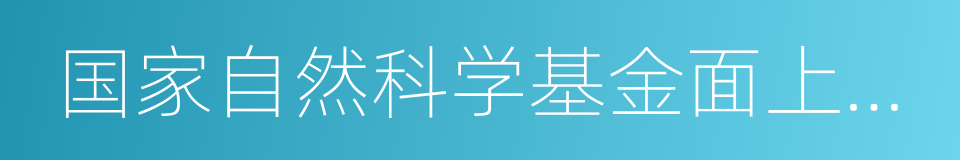 国家自然科学基金面上项目的同义词