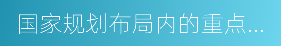 国家规划布局内的重点软件企业的同义词