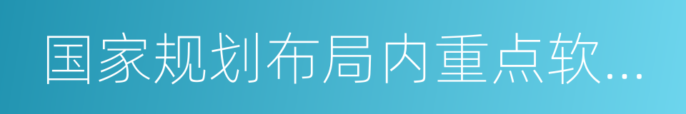 国家规划布局内重点软件企业的同义词