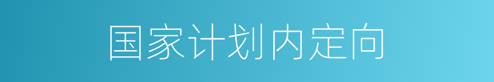 国家计划内定向的同义词