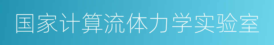 国家计算流体力学实验室的同义词