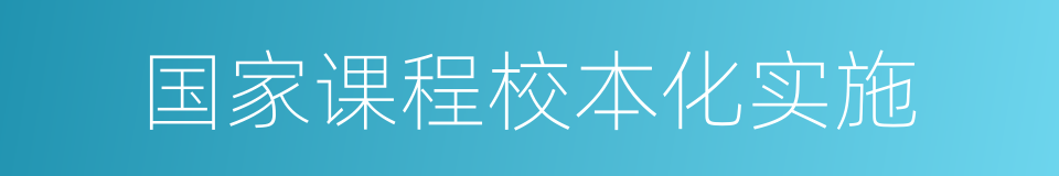 国家课程校本化实施的同义词