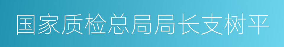 国家质检总局局长支树平的同义词