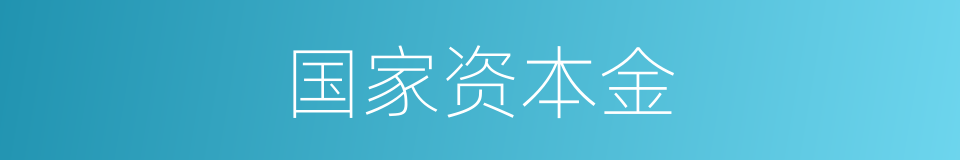 国家资本金的同义词