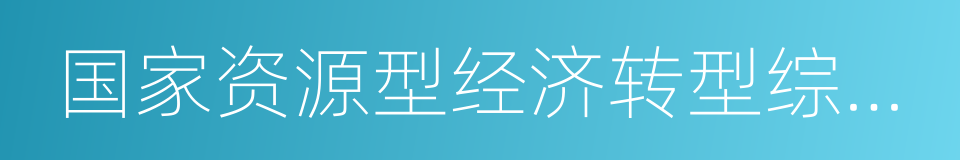 国家资源型经济转型综合配套改革试验区的同义词
