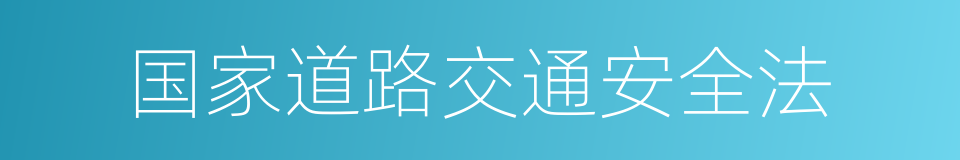 国家道路交通安全法的同义词