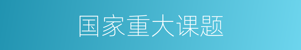 国家重大课题的同义词