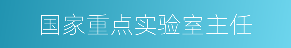 国家重点实验室主任的同义词