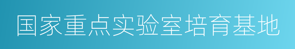 国家重点实验室培育基地的同义词