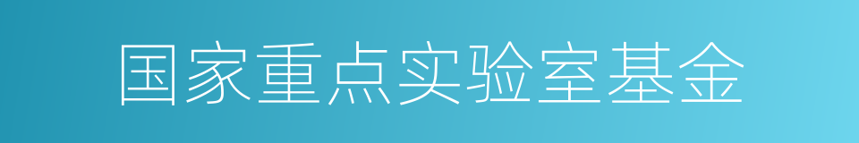 国家重点实验室基金的同义词