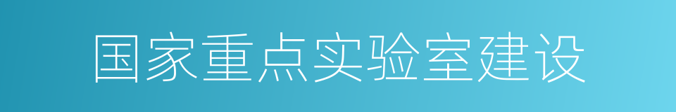 国家重点实验室建设的同义词