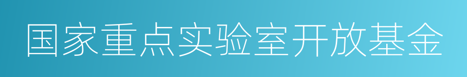 国家重点实验室开放基金的同义词