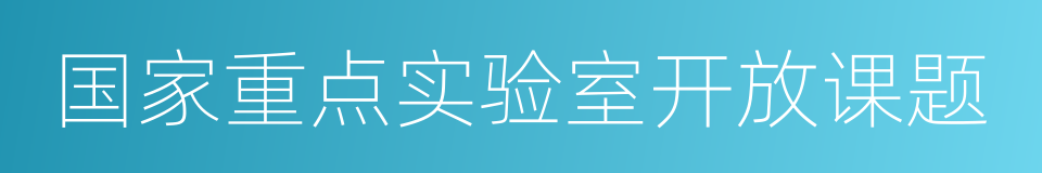 国家重点实验室开放课题的同义词