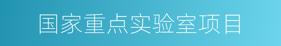 国家重点实验室项目的同义词