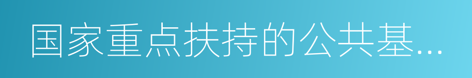 国家重点扶持的公共基础设施项目的同义词