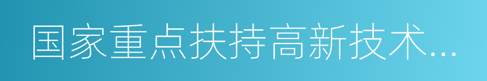 国家重点扶持高新技术企业的同义词