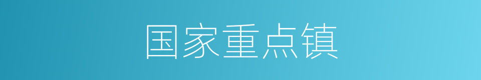 国家重点镇的同义词