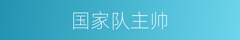 国家队主帅的同义词