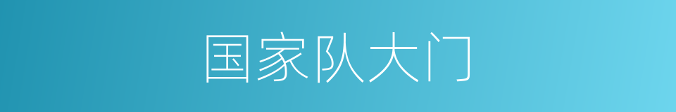 国家队大门的同义词