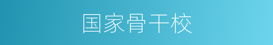 国家骨干校的同义词