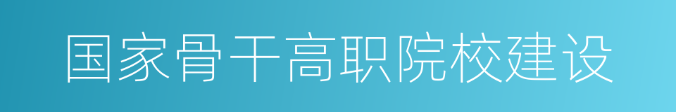 国家骨干高职院校建设的同义词
