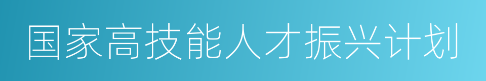 国家高技能人才振兴计划的同义词