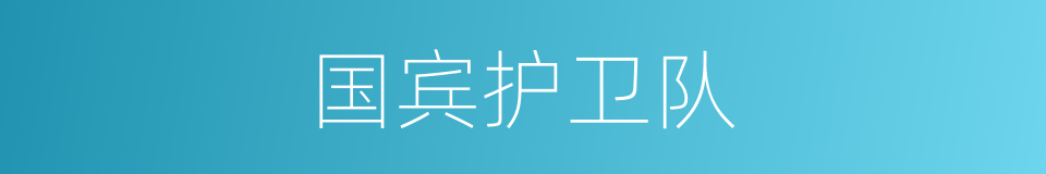 国宾护卫队的同义词
