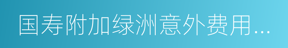 国寿附加绿洲意外费用补偿团体医疗保险的同义词