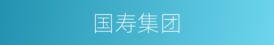 国寿集团的同义词