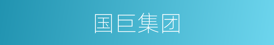 国巨集团的同义词