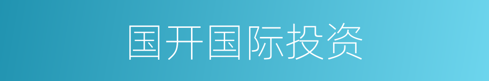 国开国际投资的同义词