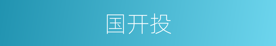 国开投的同义词