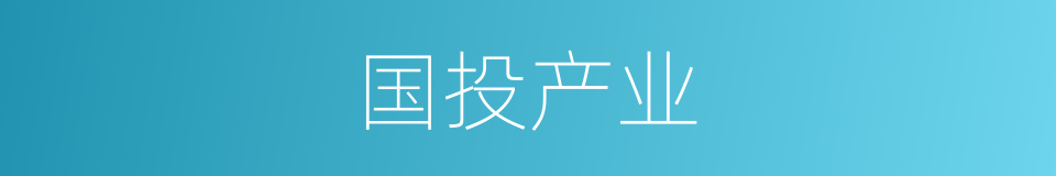 国投产业的同义词