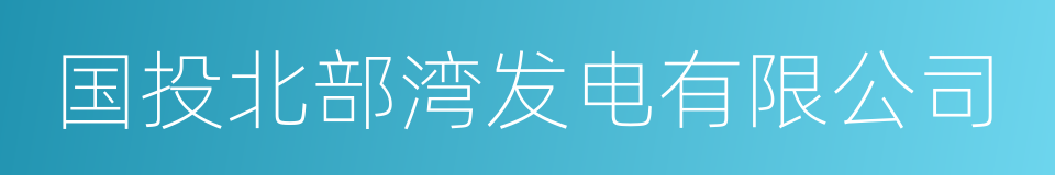 国投北部湾发电有限公司的同义词