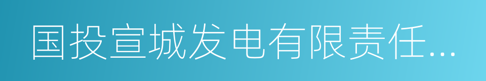 国投宣城发电有限责任公司的同义词